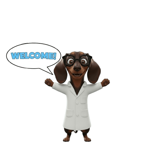 수석 연구원 안심이